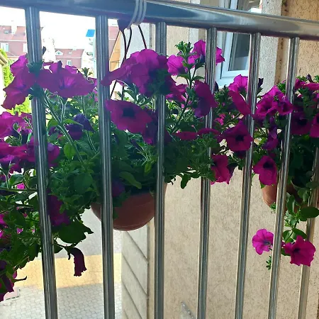 Otel Stari Grad Čačak