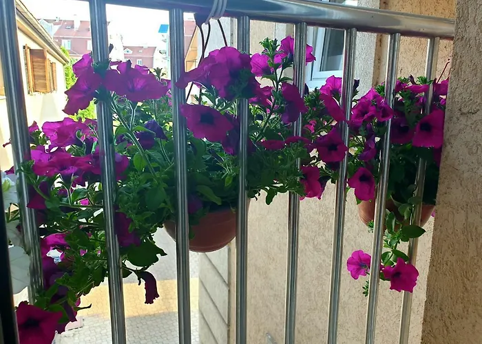 Otel Stari Grad Čačak